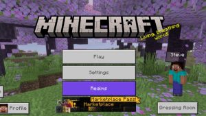 Minecraft 1.26.13 3