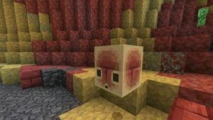 Minecraft 1.26.30.21 1